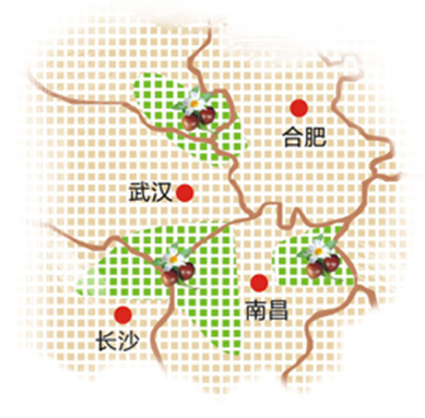 img120.jpg